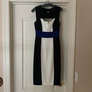 BCBG Midi Dress (Never Worn)